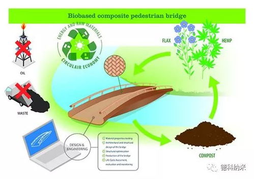 生物基复合材料大规模生产关键技术突破 生物基材料的技术演进与应用展望