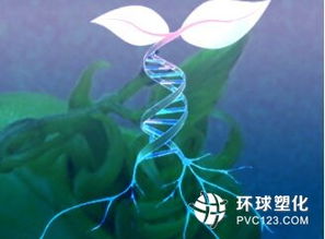 生物基材料技术在工程树脂原料开发中的前沿路径