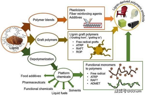 生物基高分子材料 化学合成与材料加工的融合与发展——Polymer Science领域综述