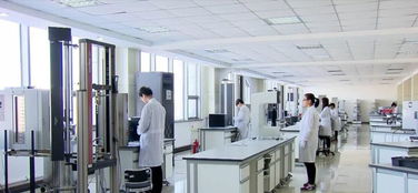 全球最大生物基复合材料项目正式开工，绿色材料技术再迎突破