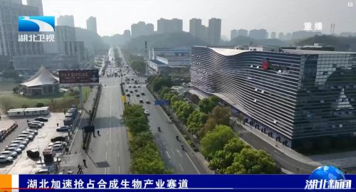安琪酵母勇担链主角色 共建湖北省合成生物产业技术创新联合体，加速抢占生物经济新赛道